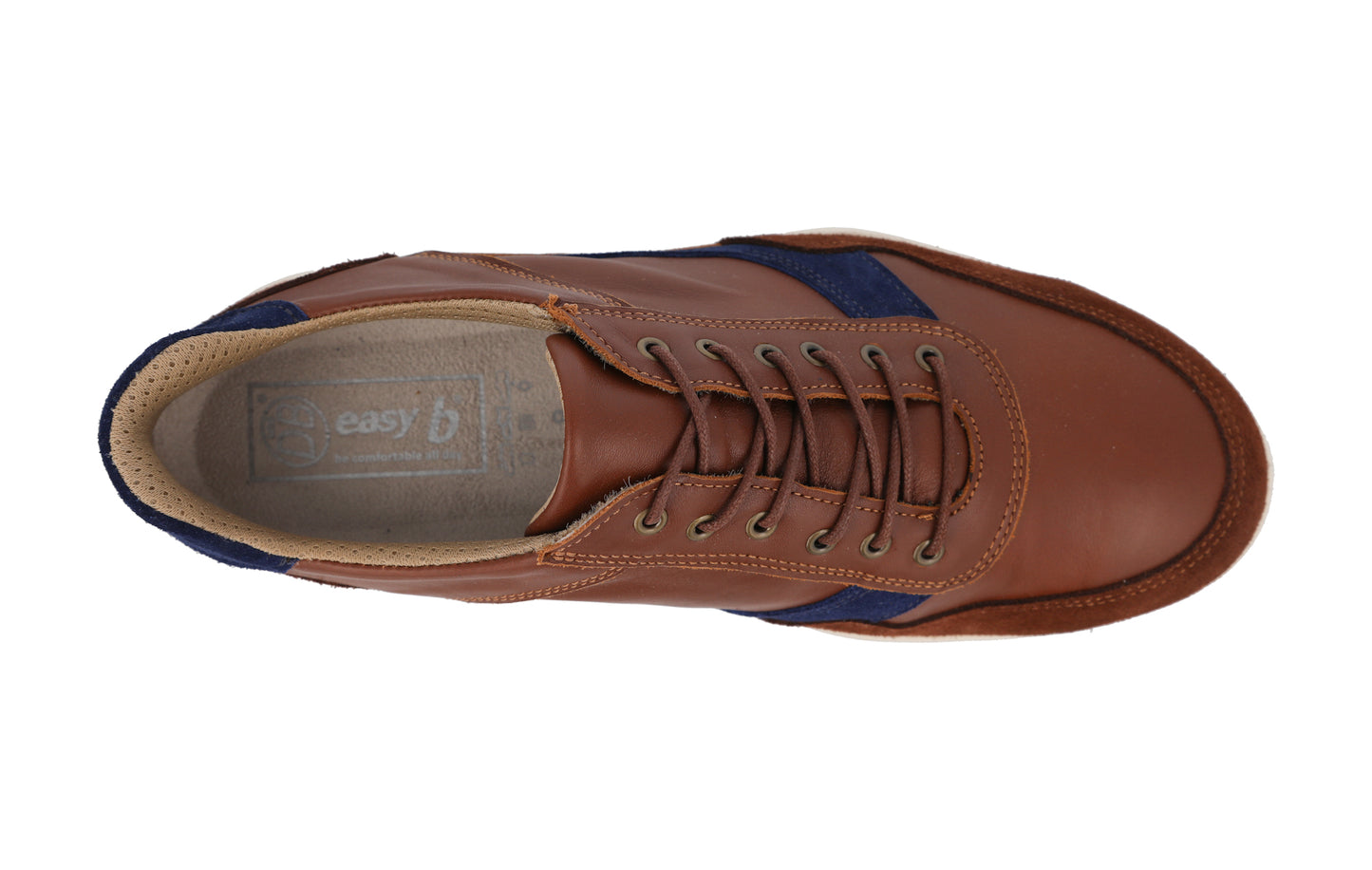 Benedict (89240T)