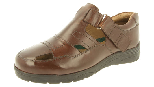 Barney (89223B)
