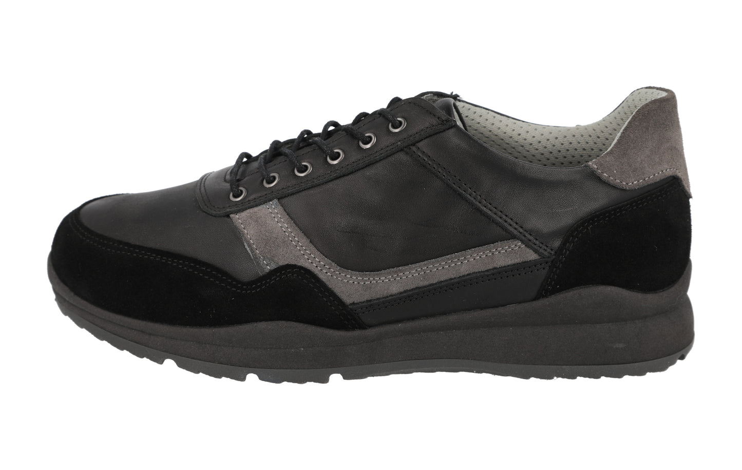 Benedict (89240A)